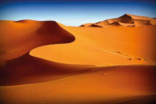 Carta da parati Dune