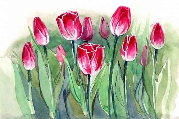 Carta da parati Tulipani